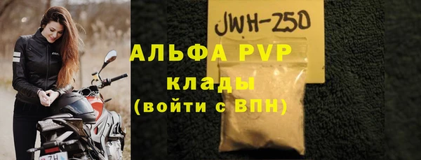 стаф Алексин